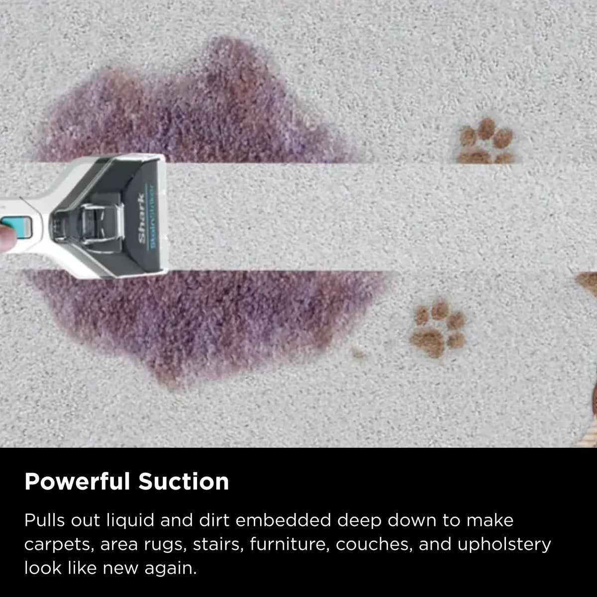 Shark StainStriker Portable Carpet & Upholstery Cleaner