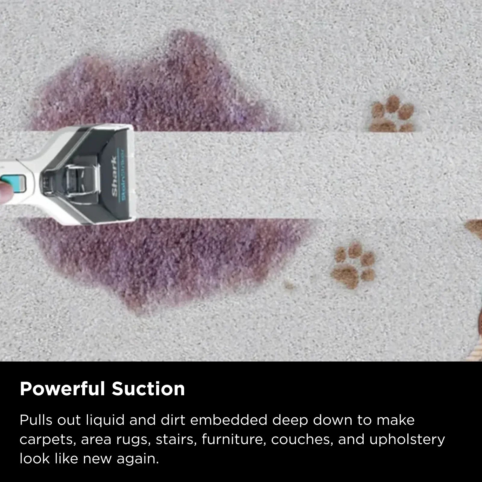 Shark StainStriker Portable Carpet & Upholstery Cleaner