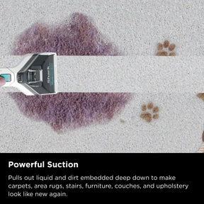 Shark StainStriker Portable Carpet & Upholstery Cleaner